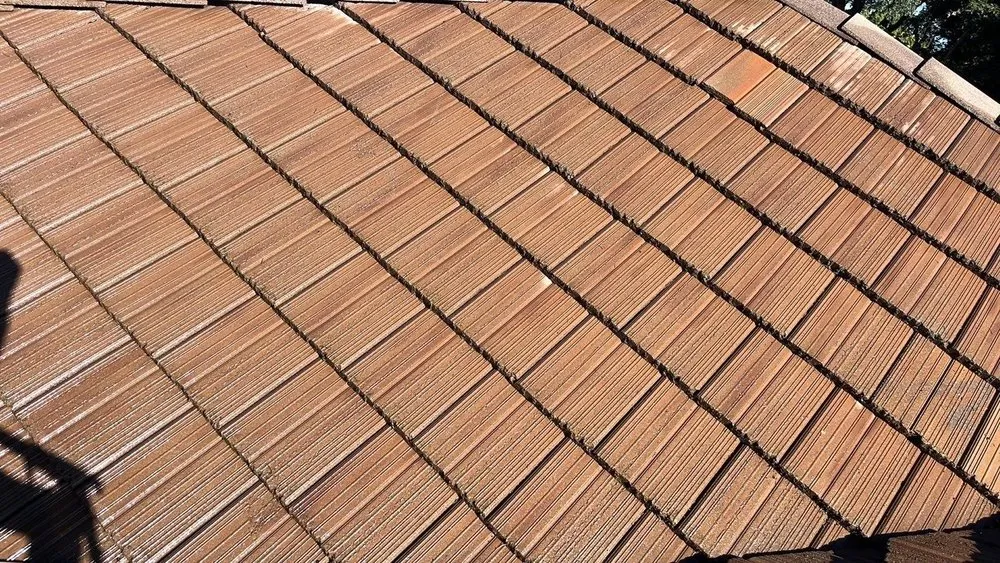 Slide of Hire Mikey's