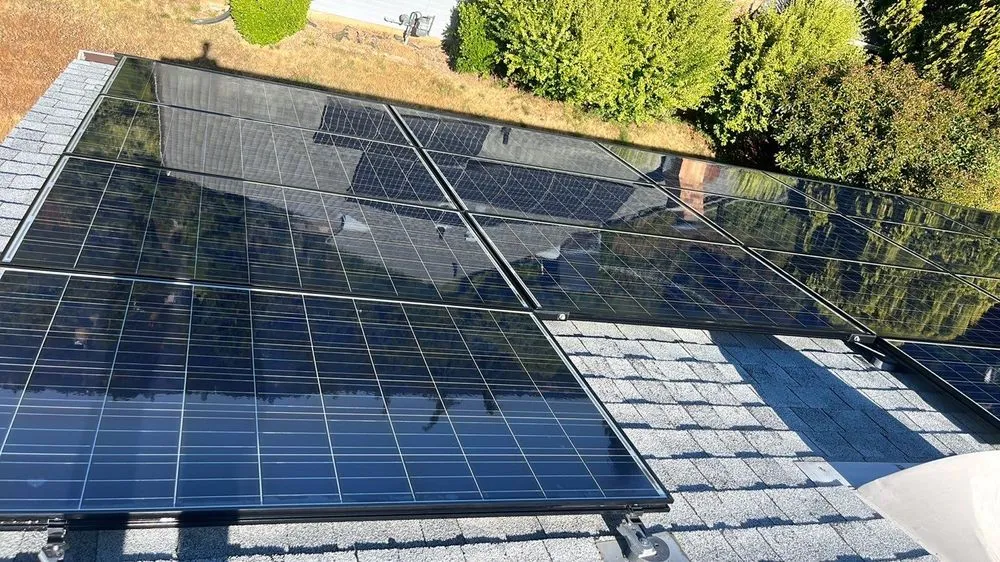 Slide of Hire Mikey's