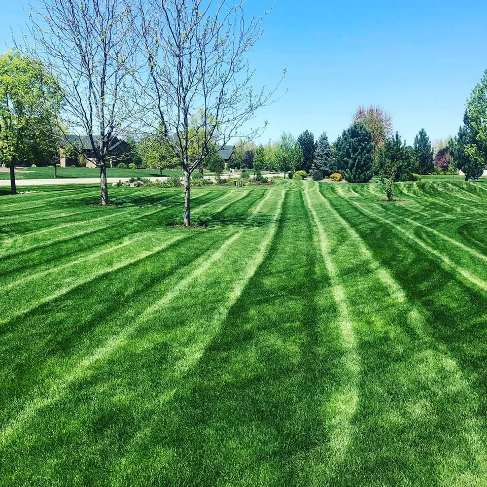 Slide of Hive Five Contractors