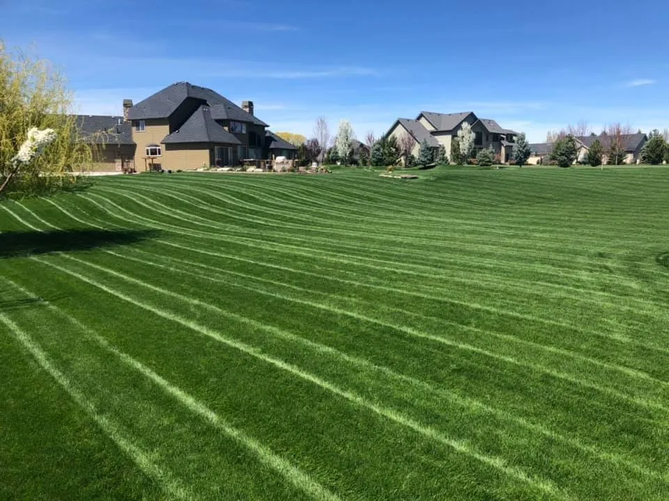 Slide of Hive Five Contractors