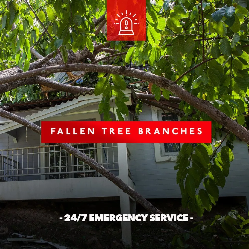 Slide of Hoboken Roofing Company