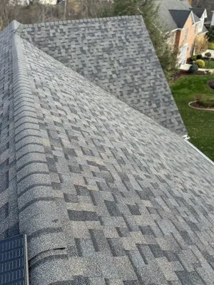 Hoffman Roofing