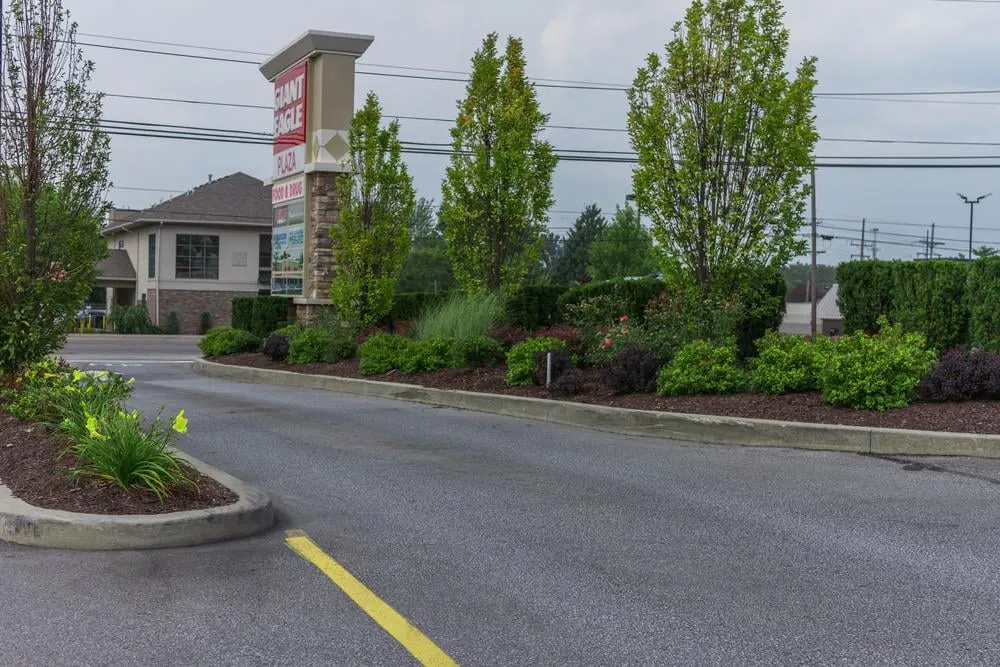 Slide of Hoffman United