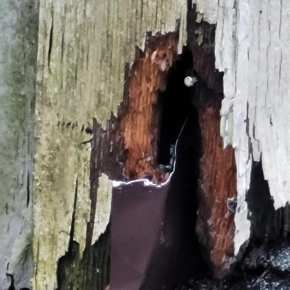 Slide of Holliday Home Improvements