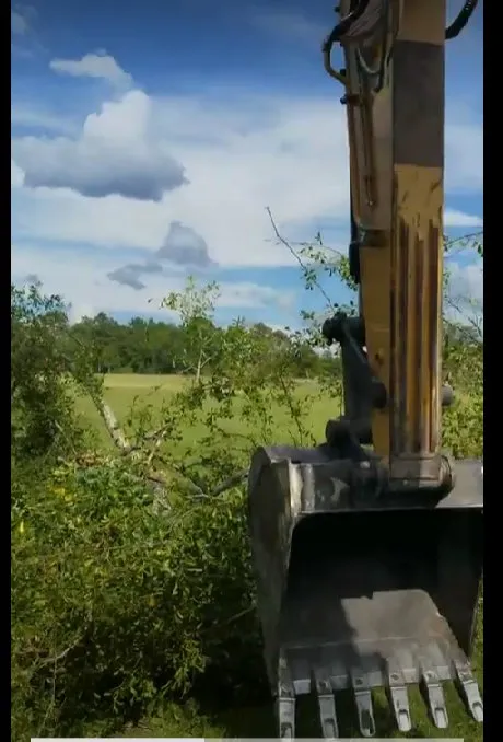 Slide of Hollywood Construction and Landclearing