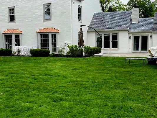 Holzer Jesko Quality Exteriors