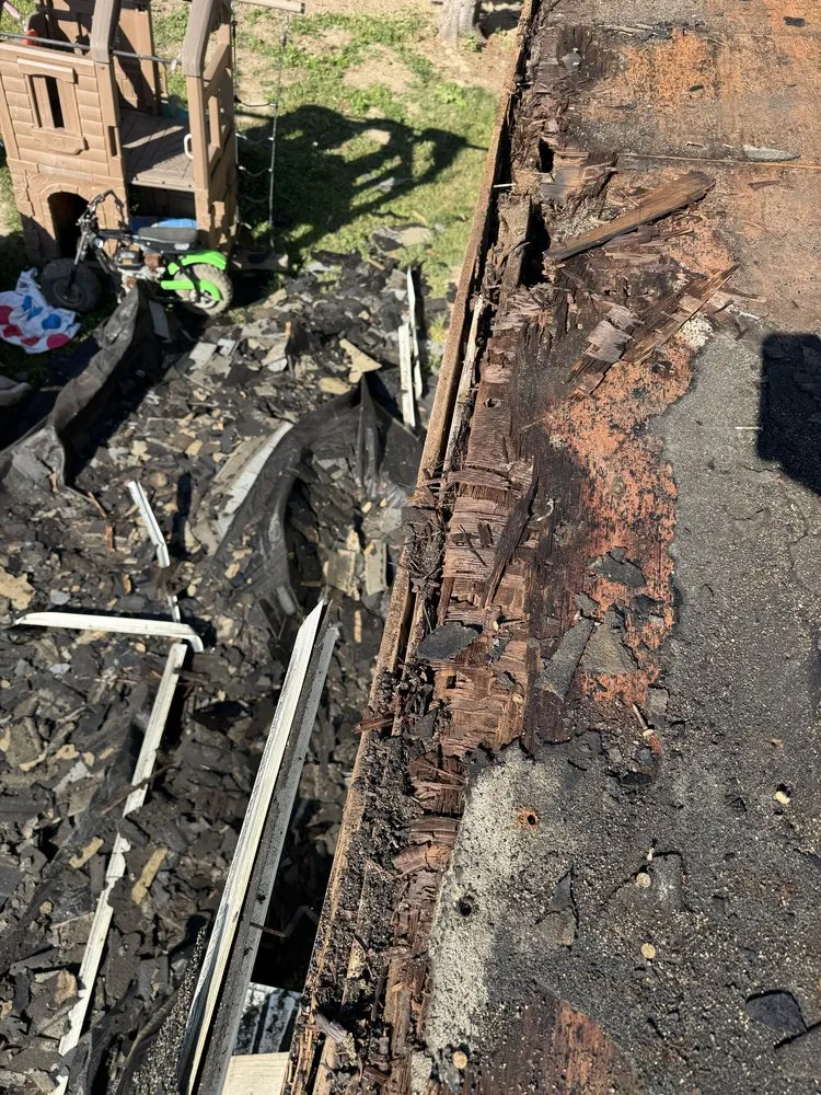 Slide of Home Evolution