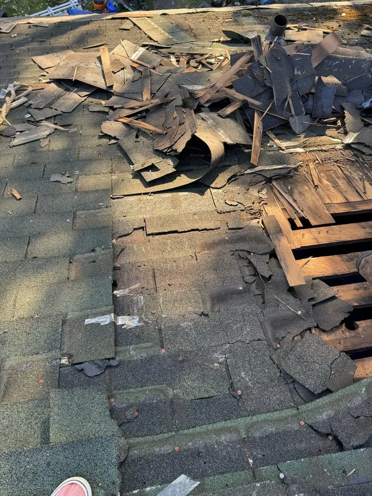 Slide of Home Evolution