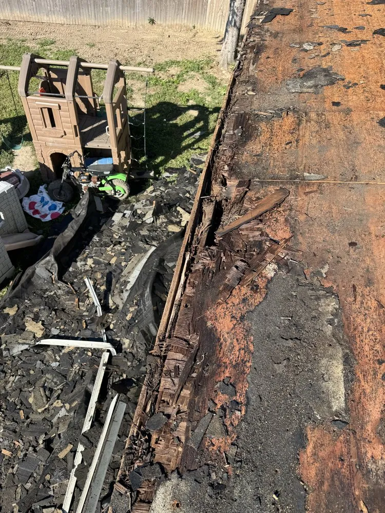 Slide of Home Evolution