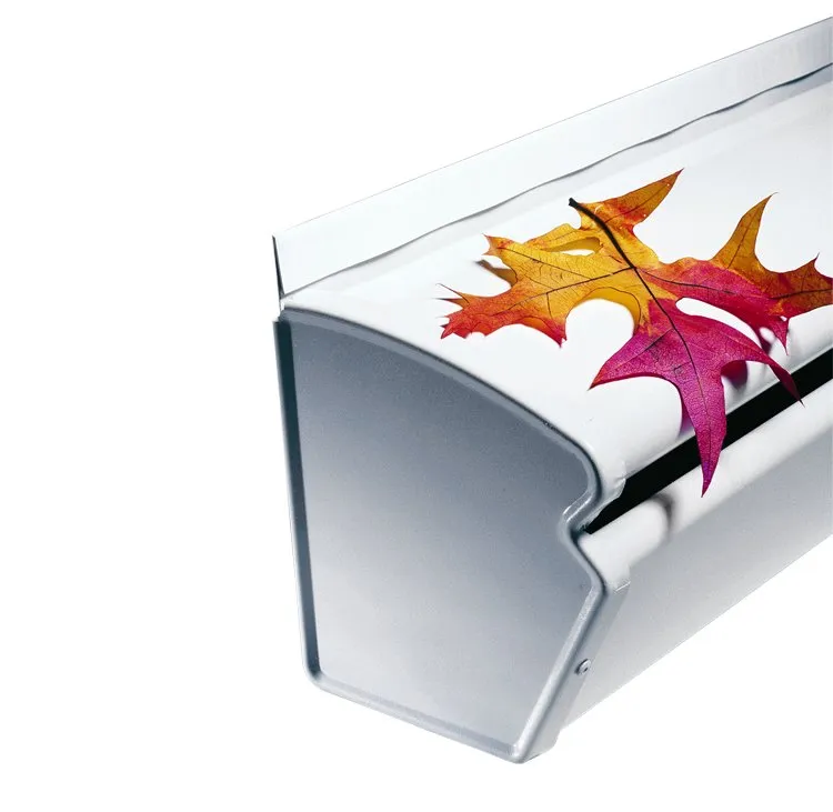 Slide of Home Evolutions