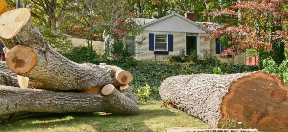 Slide of Home Improvement On a Budget