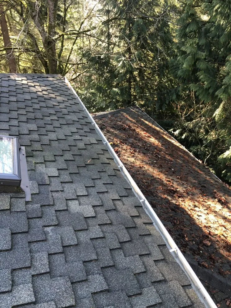 Slide of Home Improvers