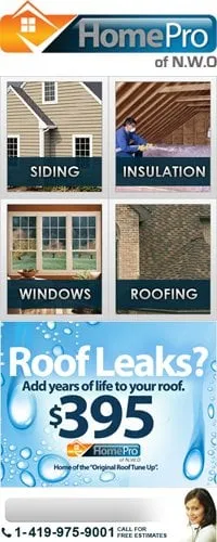 Slide of Home Pro of N.W.O