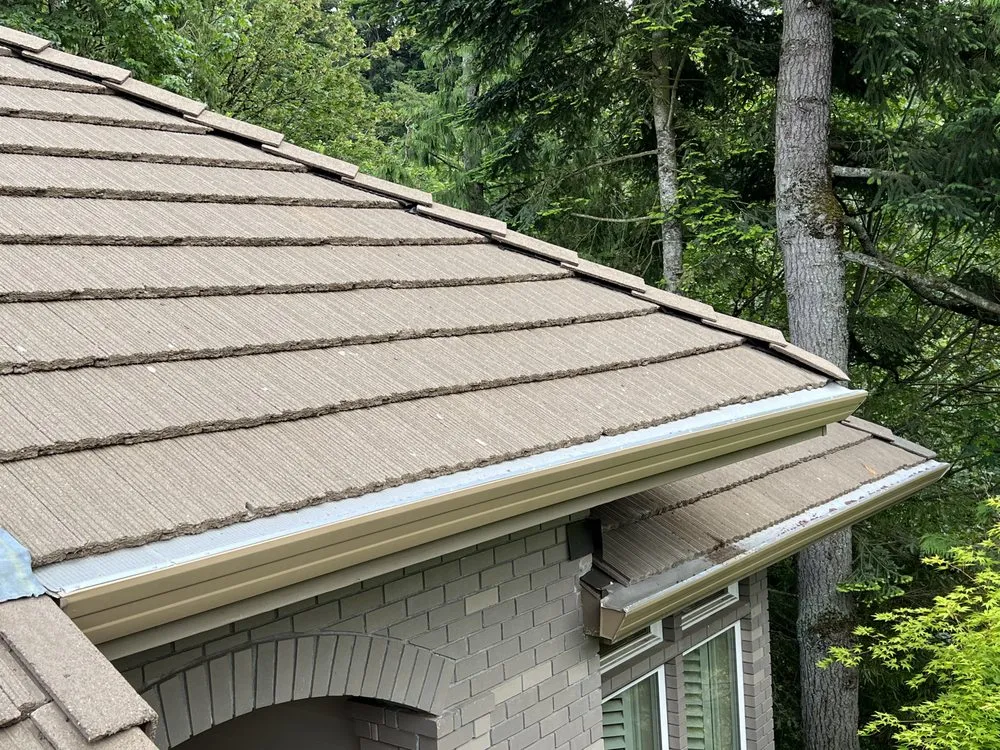 Slide of Home Renewal Softwash