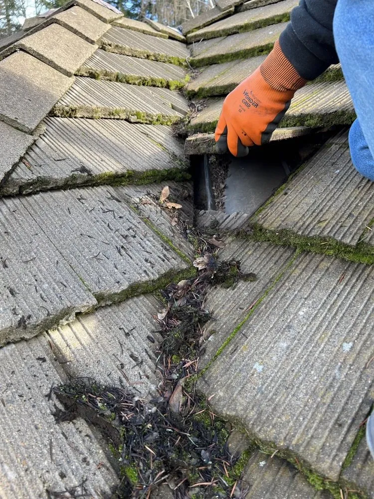 Slide of Home Renewal Softwash