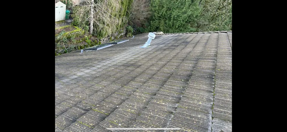 Slide of Home Renewal Softwash