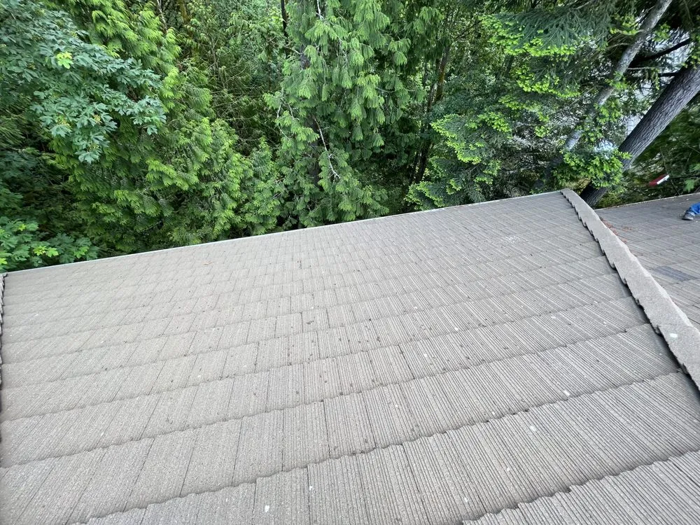 Slide of Home Renewal Softwash