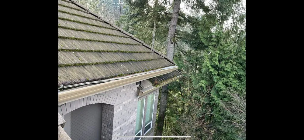 Slide of Home Renewal Softwash