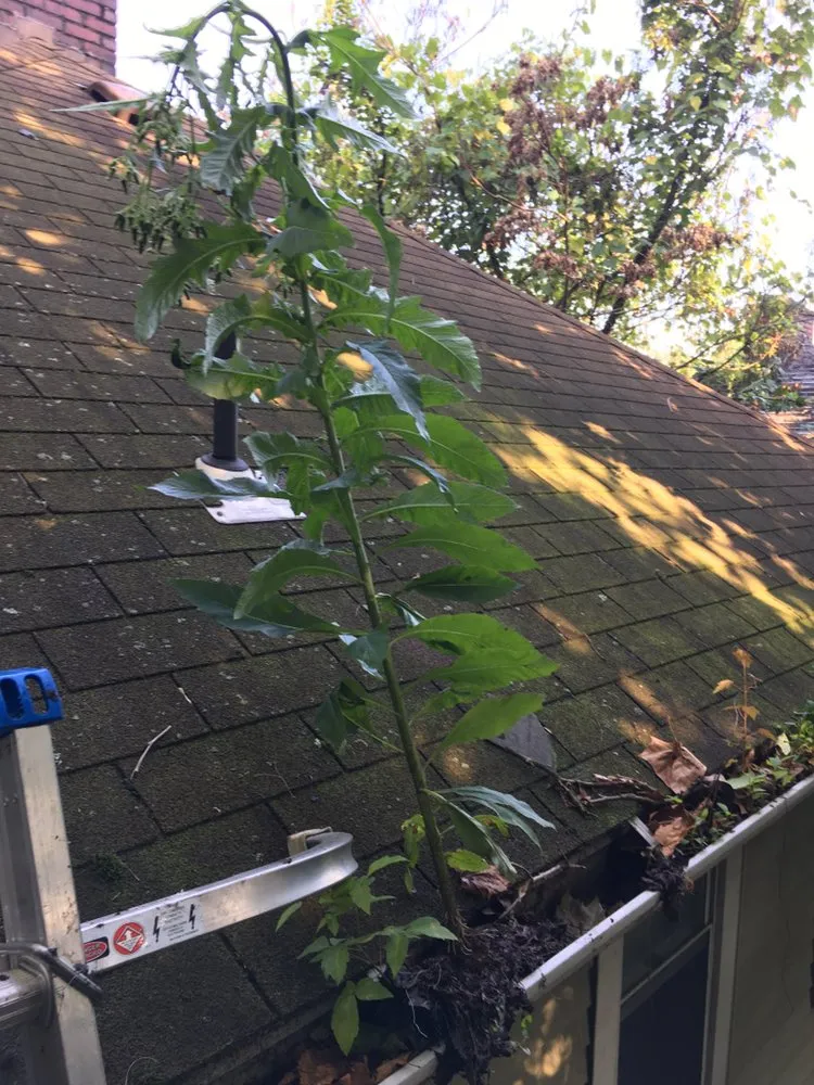 Slide of Home Services By Randy