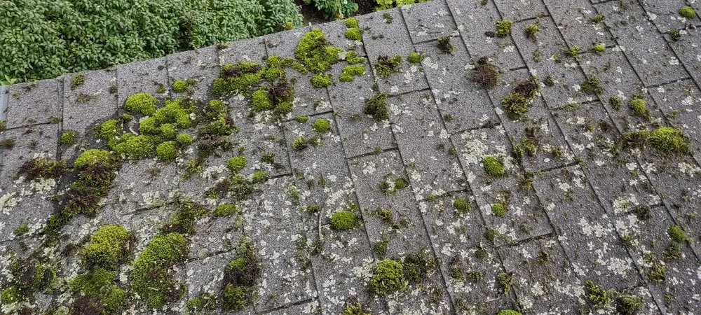 Slide of Home Shield Pro's