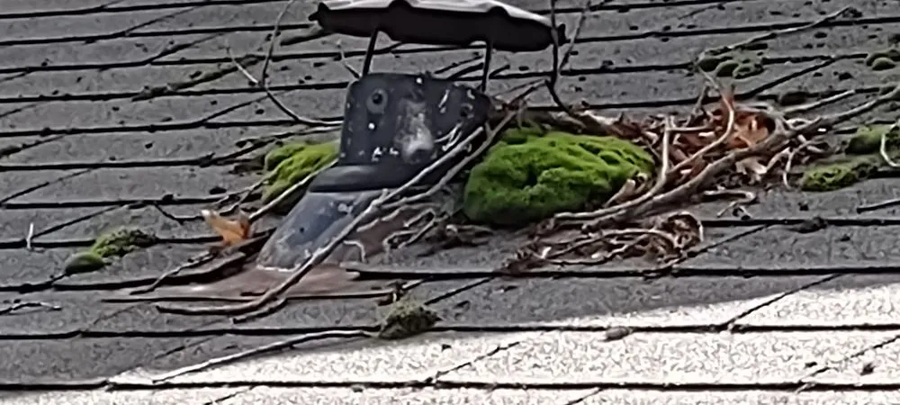 Slide of Home Shield Pro's