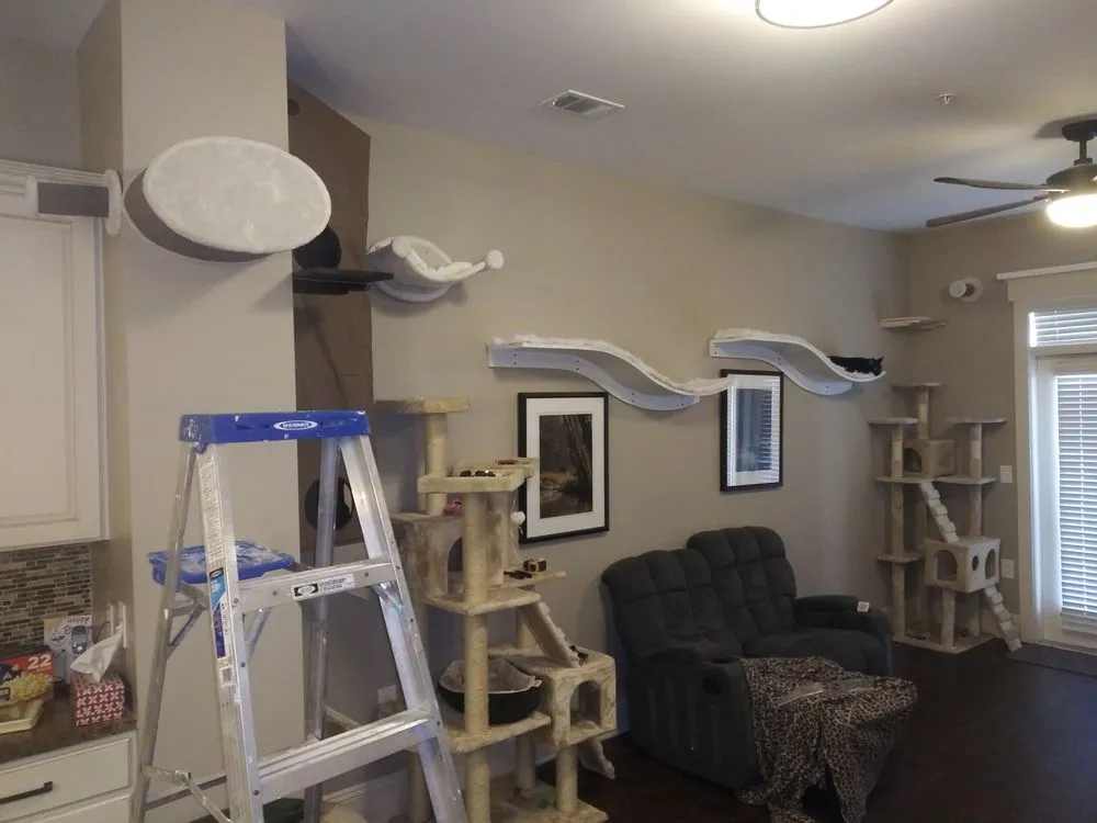Local residential roofing service in Lawndale, NC - Home Team Handyman Service