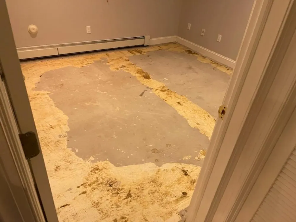 Slide of Home Vision Improvement