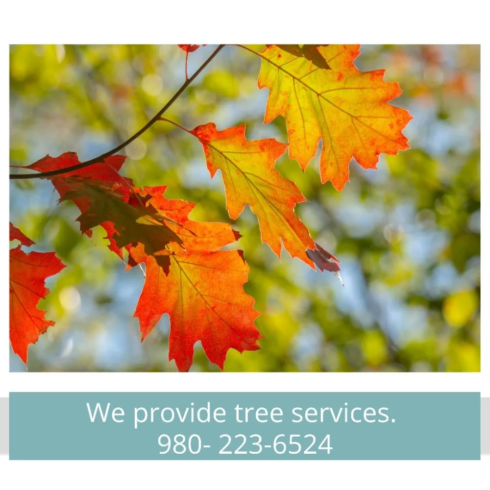 Slide of Home Work Consulting