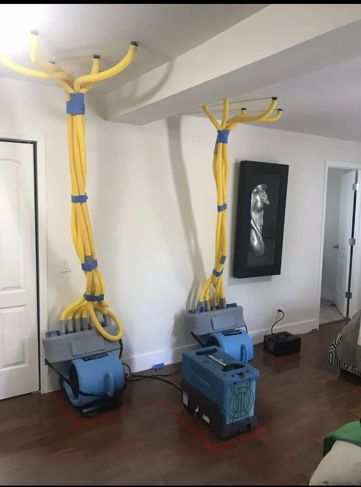 Slide of HomeGreen Group