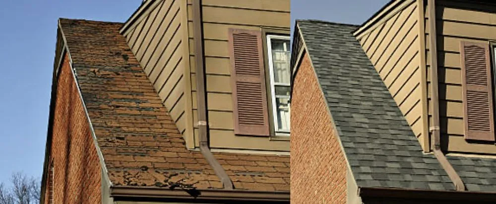 Slide of Homegrown Construction