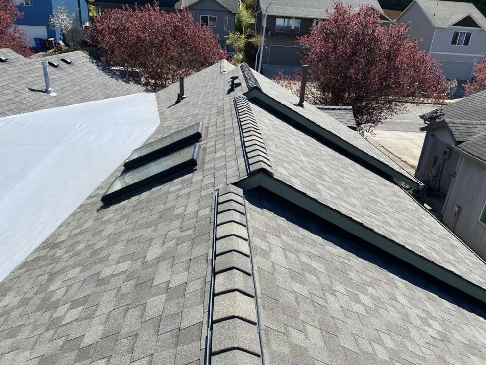 Slide of Homemasters - Vancouver