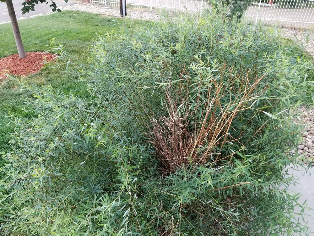 Slide of Homestreet Roofing