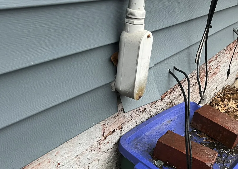 Slide of Honey Dew Services