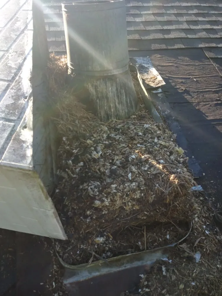 Slide of Honeydew Home Improvements