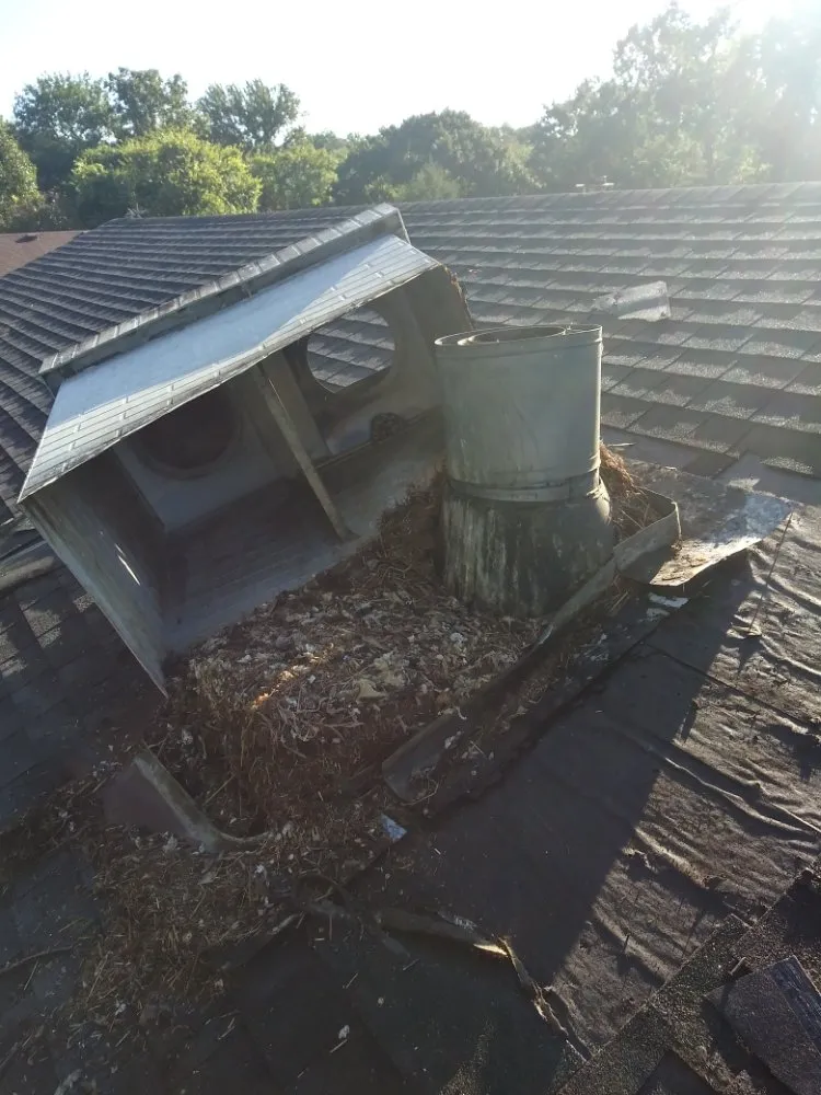 Slide of Honeydew Home Improvements