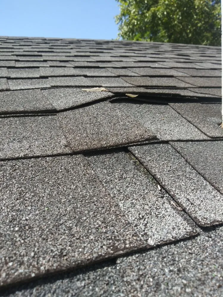 Slide of Honeydew Home Improvements