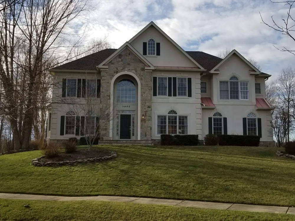 Slide of Hoopoe-Clover