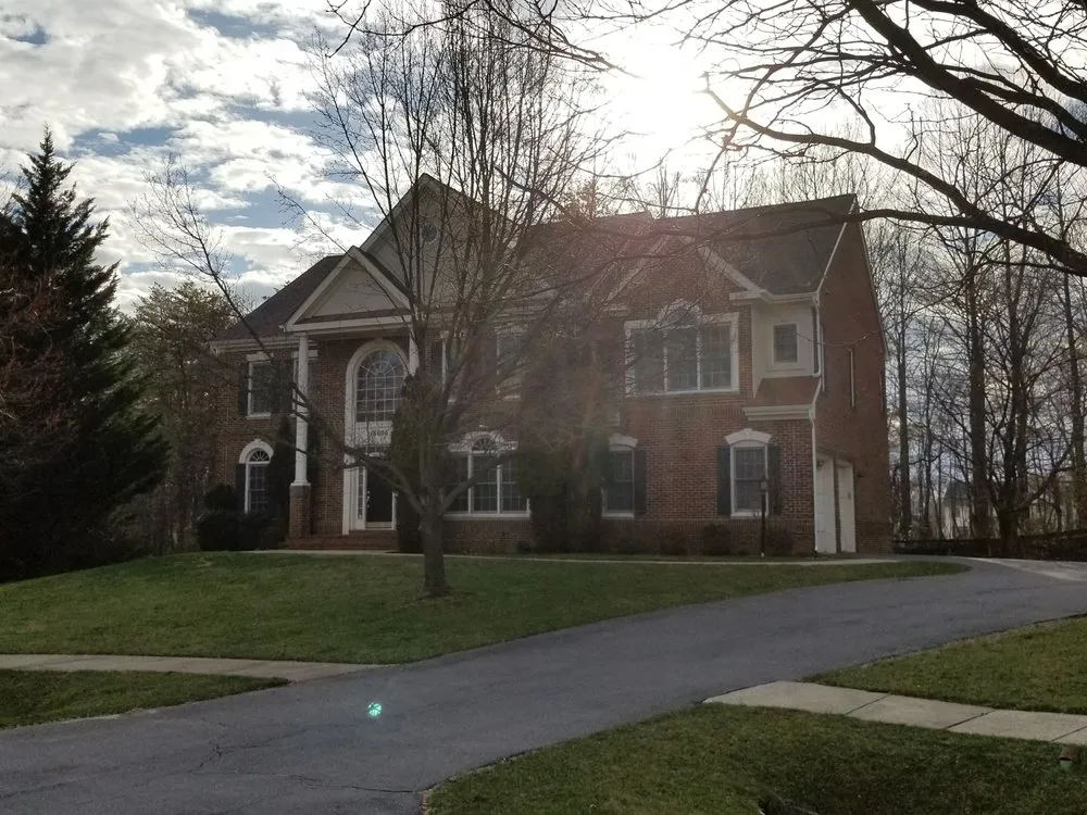 Slide of Hoopoe-Clover