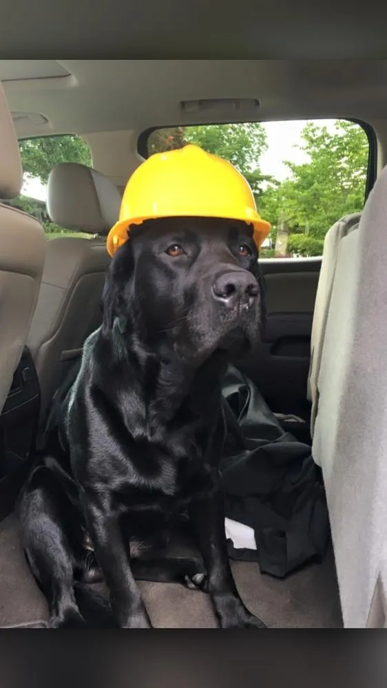 Slide of Hopewell Roofing & Restoration