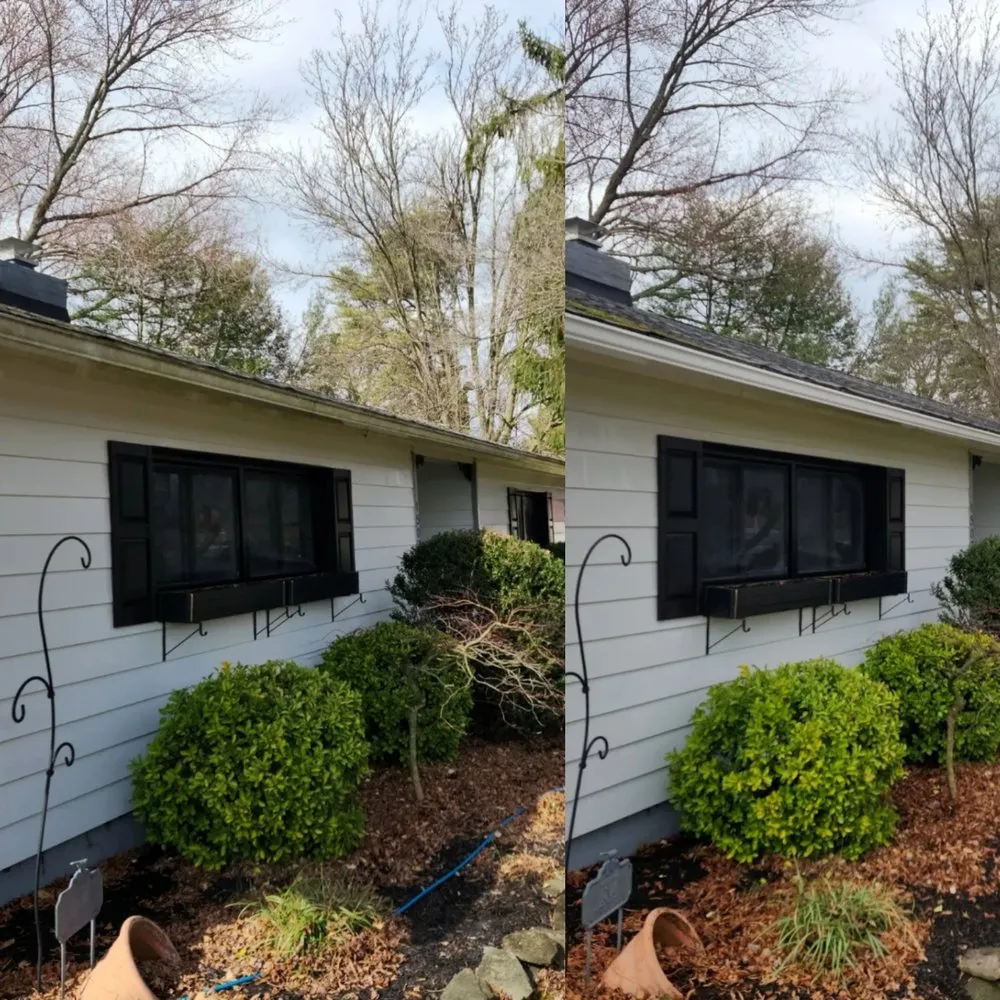 Slide of Hopkins Pro Wash