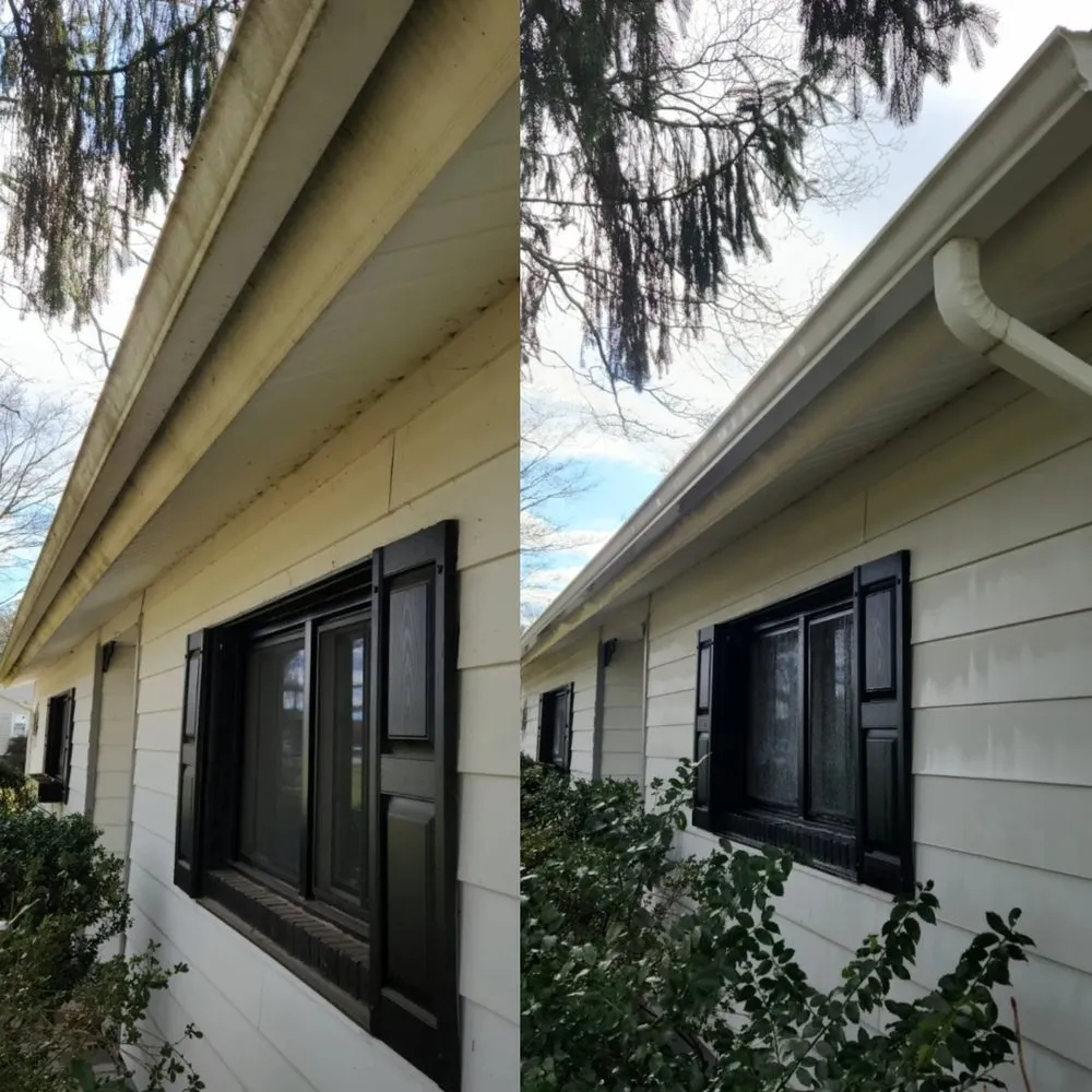 Slide of Hopkins Pro Wash