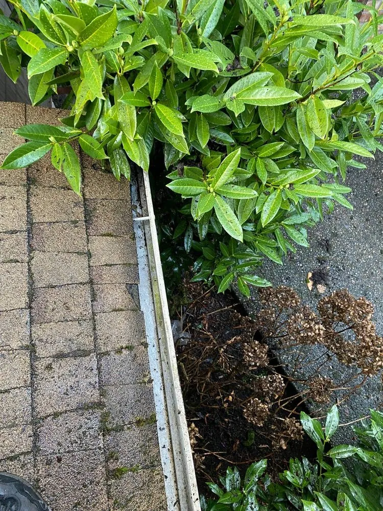 Slide of Horban Company