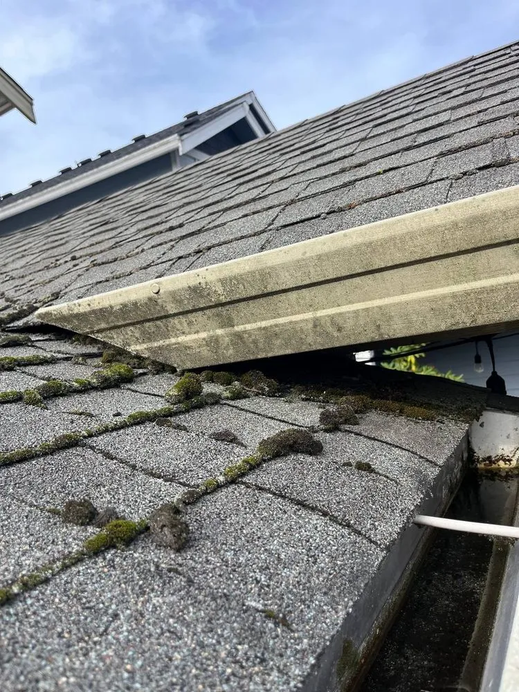 Slide of Horban Company