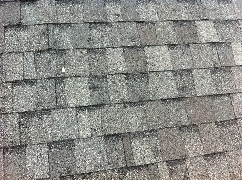 Slide of Horizon Quality Roofing
