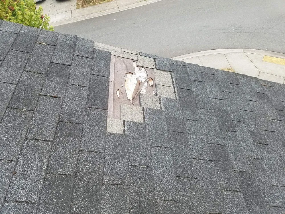 Slide of Horizon Roofing