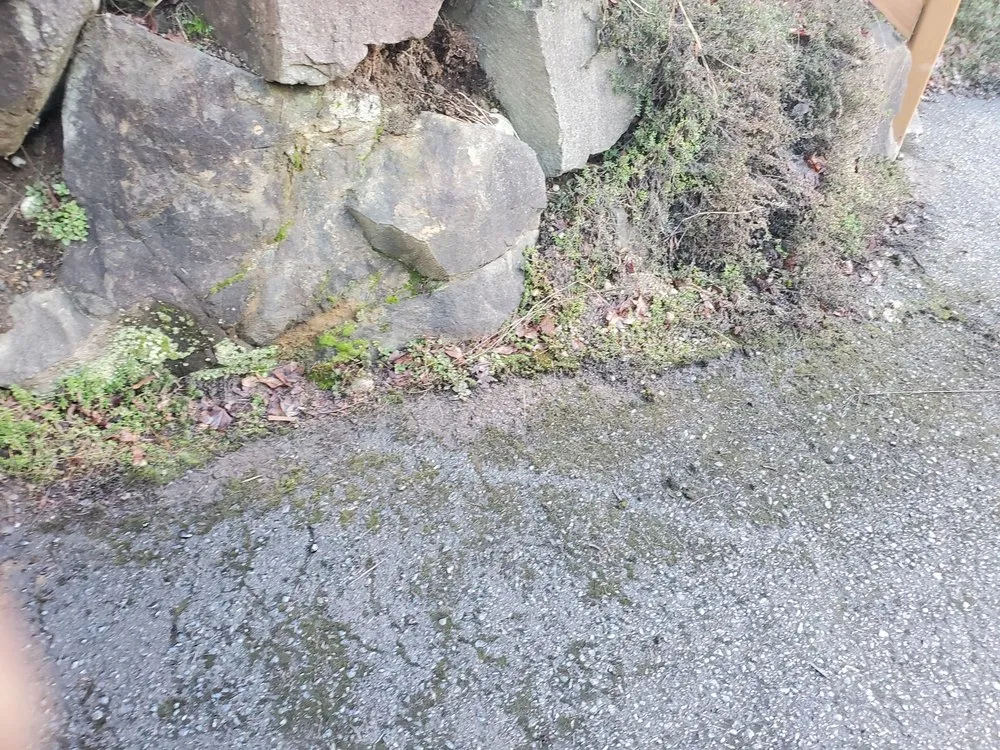 Slide of Horton Roofing and masonry