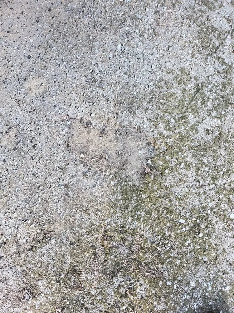 Slide of Horton Roofing and masonry