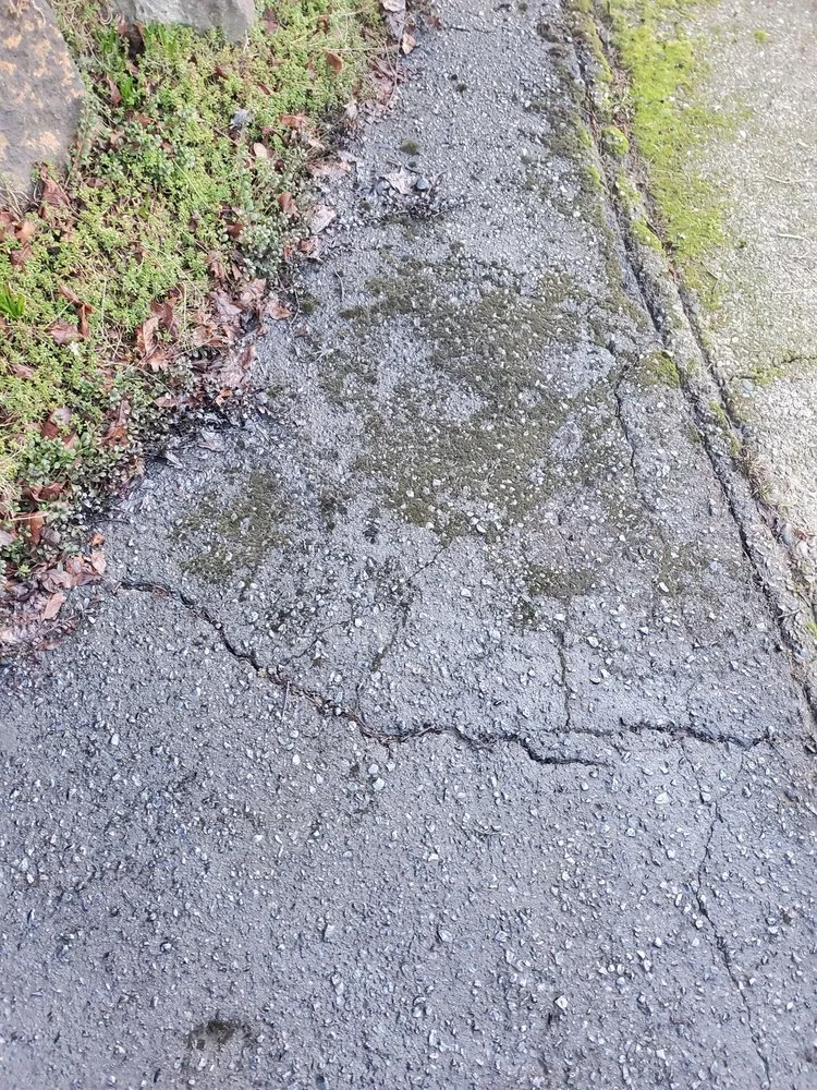 Slide of Horton Roofing and masonry