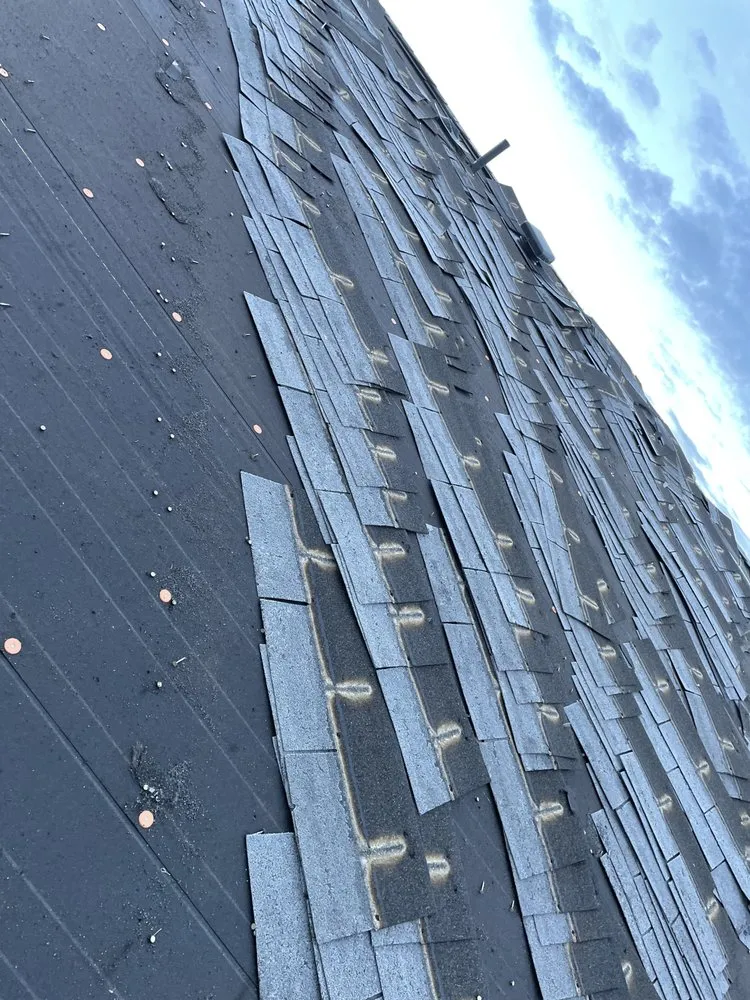 Slide of Hoss Rooftop and Repair