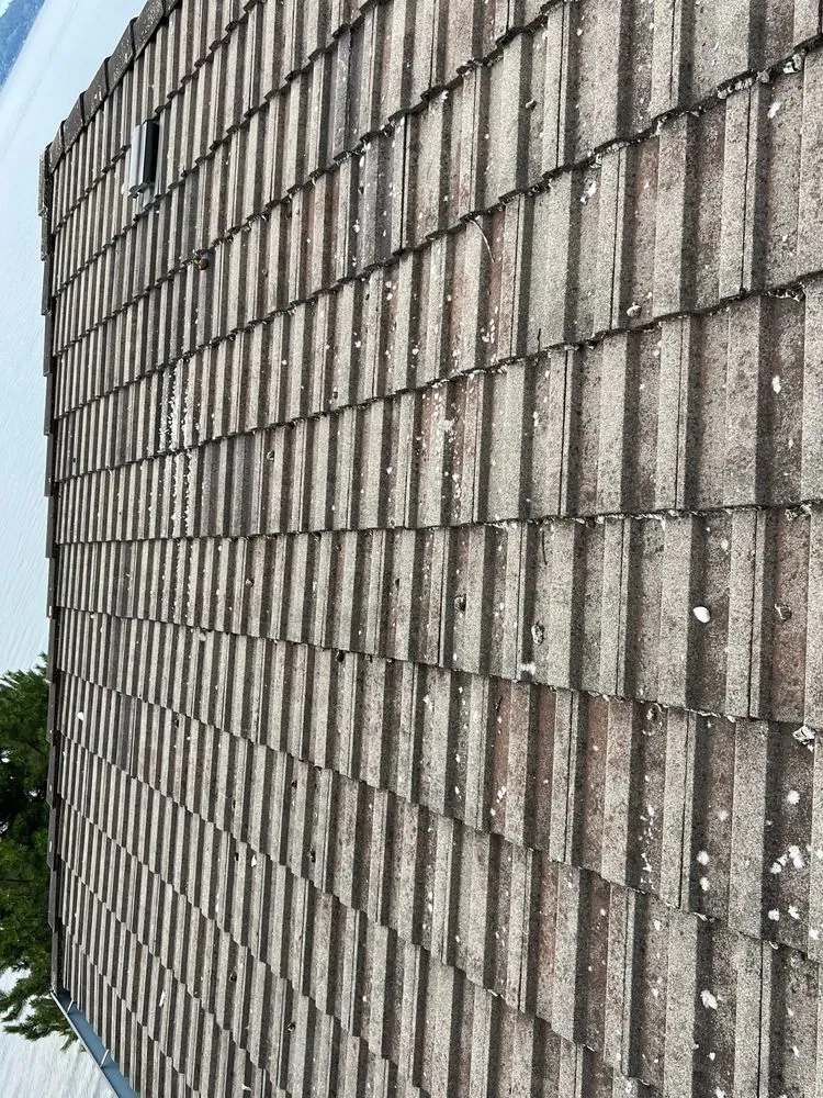 Slide of House Huggerz